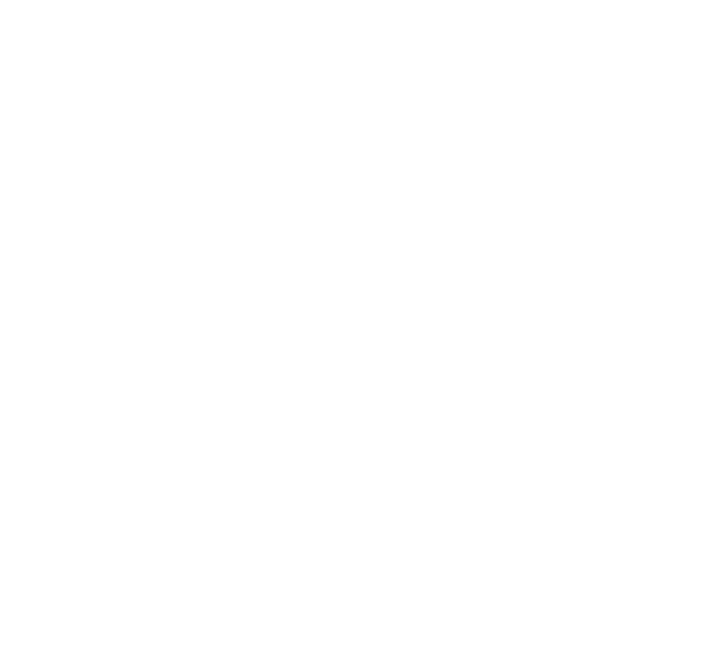 مدارس الريادة الرقمية الدولية